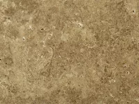 Walnut Travertine