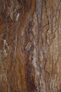 Walnut Travertine - Image 2