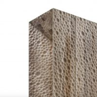 Water Spirit - Image 2