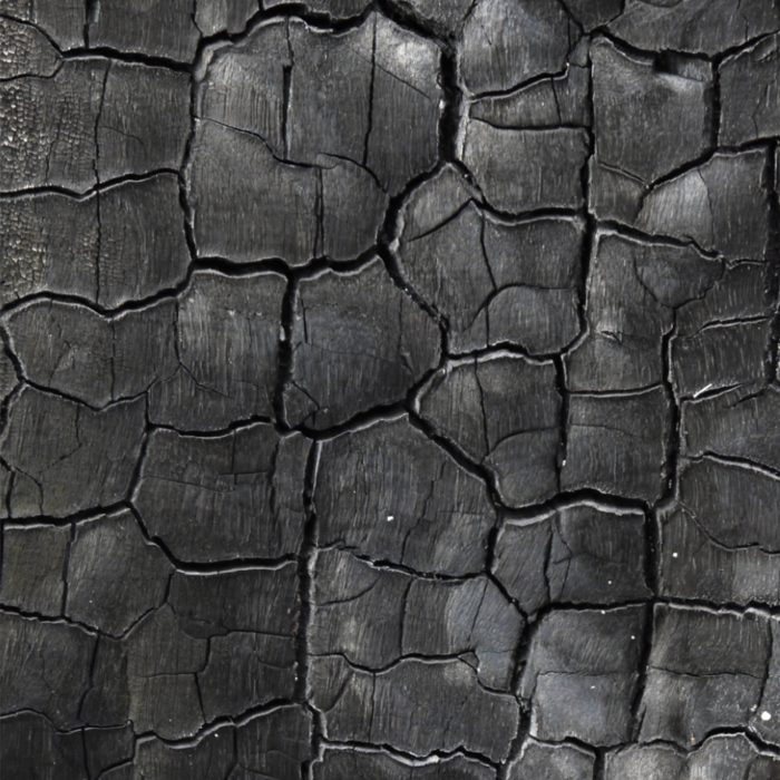Organic Carbonized Wood - Image 2