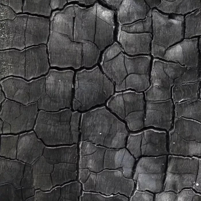 Organic Carbonized Wood - Image 2