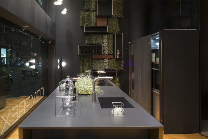 Organic Carbonized Wood - Image 4