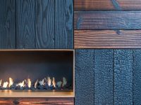 Organic Carbonized Wood - Image 5