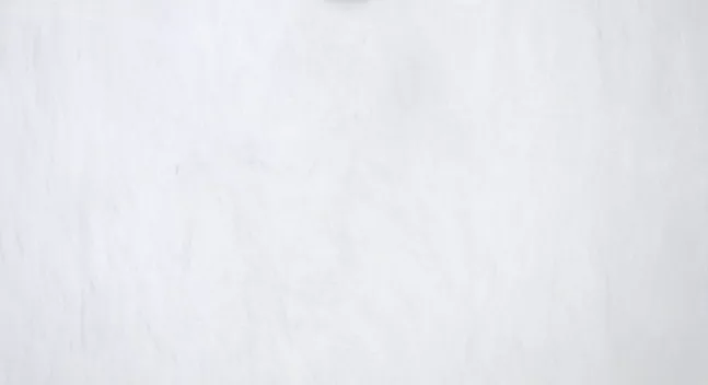 1347_Bianco_P_1 Bianco P - Image 1