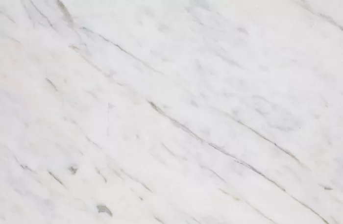 Gioia Venato - Image 4