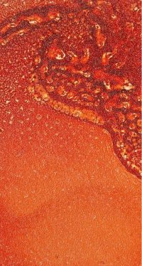 Materic Chemical Rust - Image 4