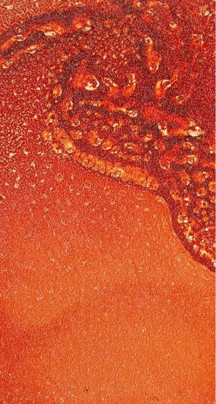 138_Materic_Chemical_Rust_4 Materic Chemical Rust - Image 4
