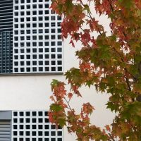 Large Ceramic Sunbreaks Type 3 - Image 2