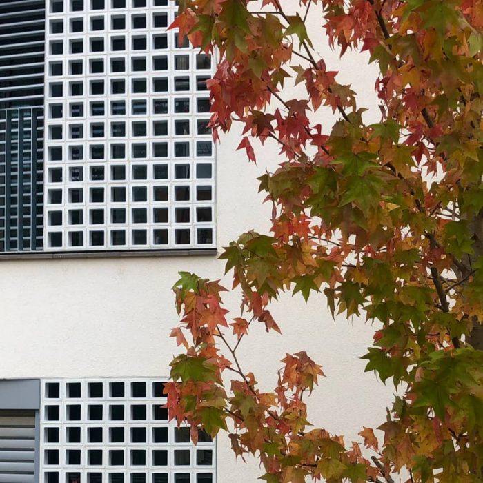 Large Ceramic Sunbreaks Type 3 - Image 2