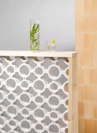 Ceramic Sunbreaks Type 1