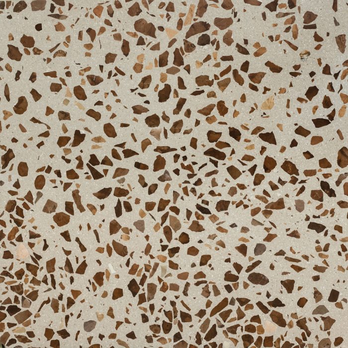 Lentil Terrazzo Seeds - Image 3