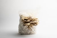 Fields Acoustic Panels - Image 10