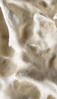 Fields Acoustic Panels - Image 11