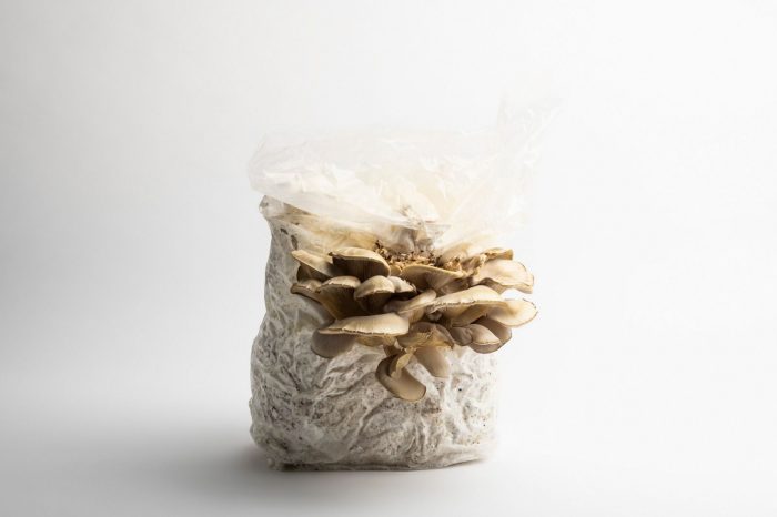 Plain Acoustic Panels - Image 11