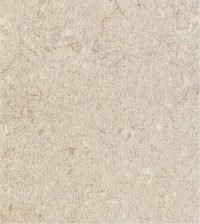 Wood Texture - Grolla Beige