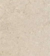 Wood Texture - Grolla Beige