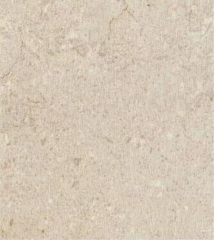 Wood Texture - Image 5