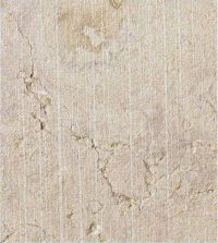 Asia Texture - Grolla Beige