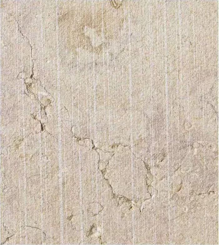 Asia Texture - Image 10