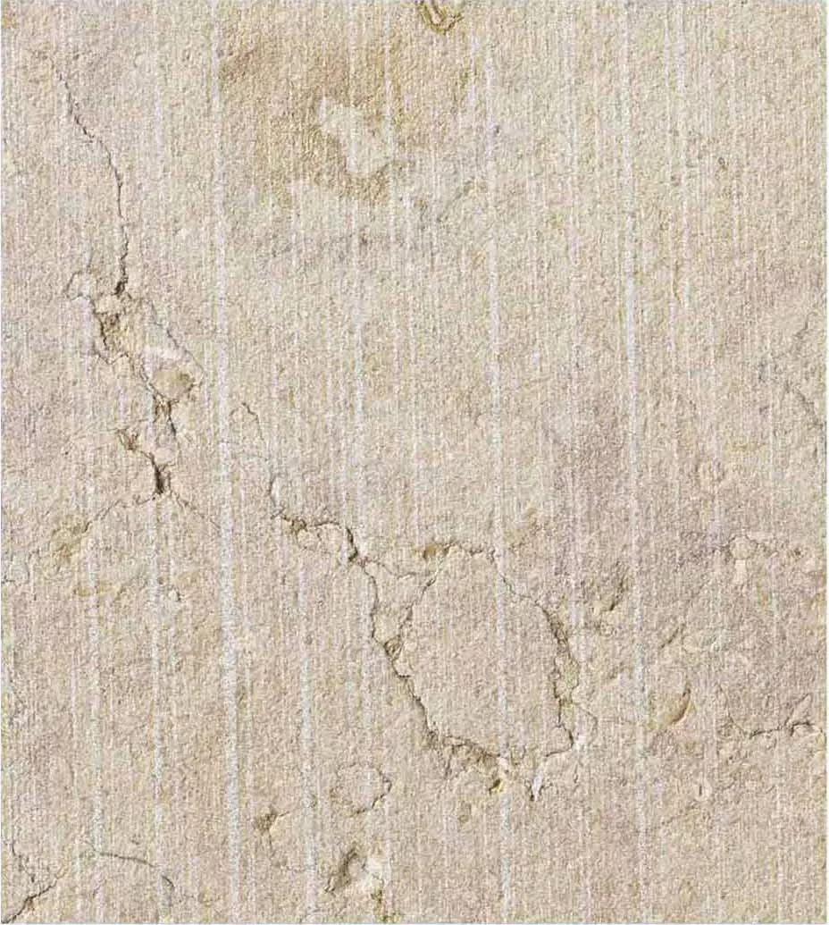 3081_Asia_Texture_-_Grolla_Beige_1 Asia Texture - Grolla Beige - Image 1