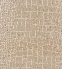 Crocodile Texture - Grolla Beige