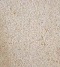 Iris Texture - Grolla Beige