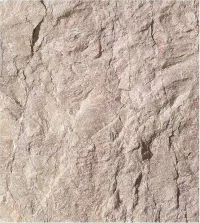 Split Face Texture - Grolla Beige