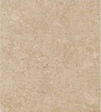 Polished Finish - Grolla Beige