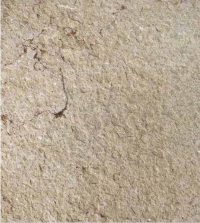 Flamed Texture - Grolla Beige