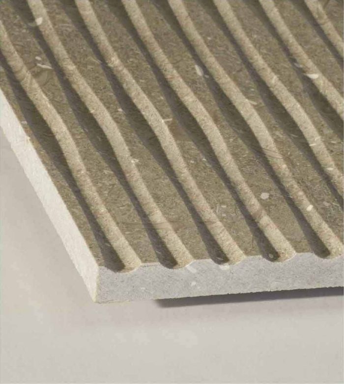 Grollo Olivo Talia - Image 2