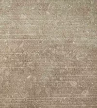 Grigio Olivo Asia