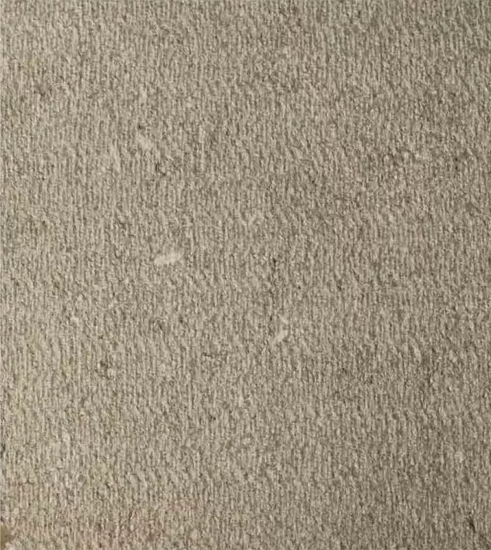 Iris Texture - Image 8
