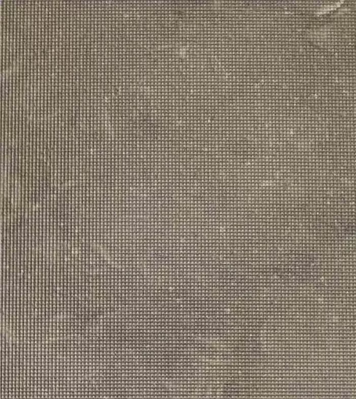 Elio Texture - Image 8