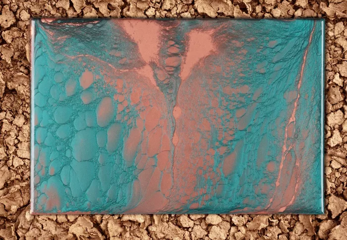 Crocodile Skin Liquid Ceramic Effect Varnish - Image 3