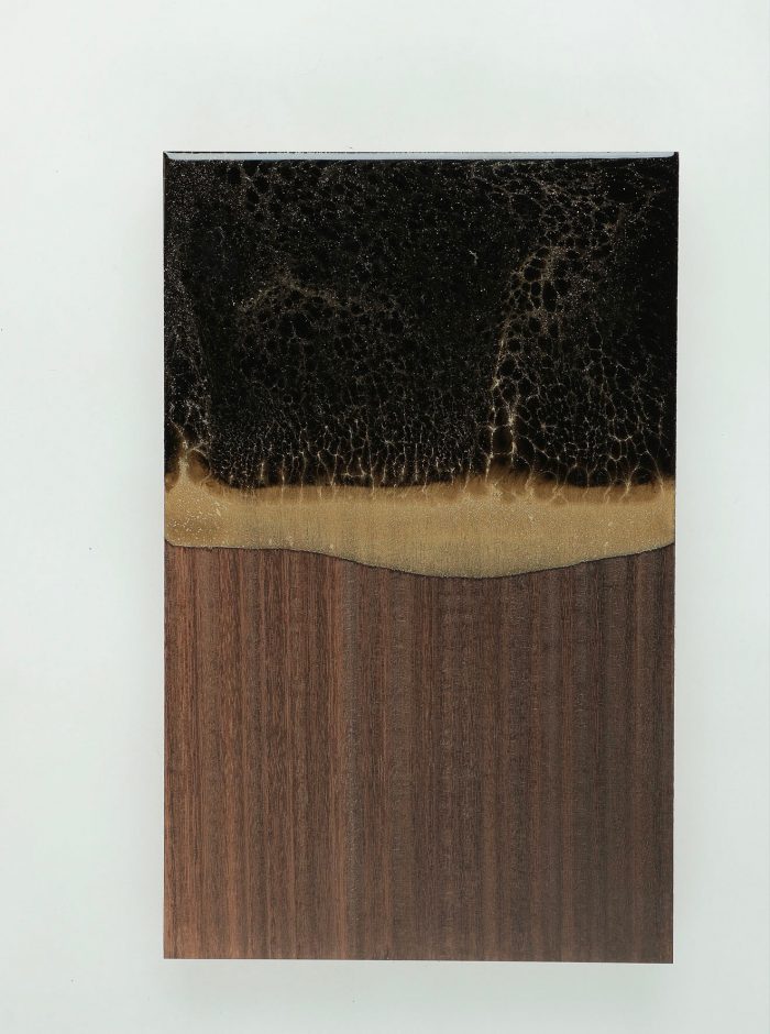 Nero Portoro Liquid Ceramic Effect Varnish - Image 3