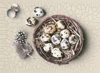 Coquille d'Oeuf™ Water-Based Single-Component Finish - Image 4