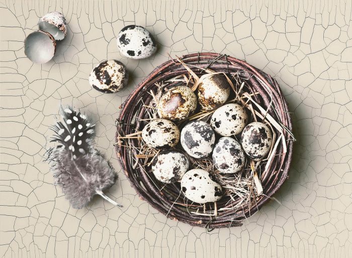 Coquille d'Oeuf™ Water-Based Single-Component Finish - Image 4