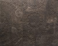 Centocentrini - Image 2