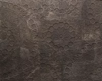 Centocentrini - Image 2