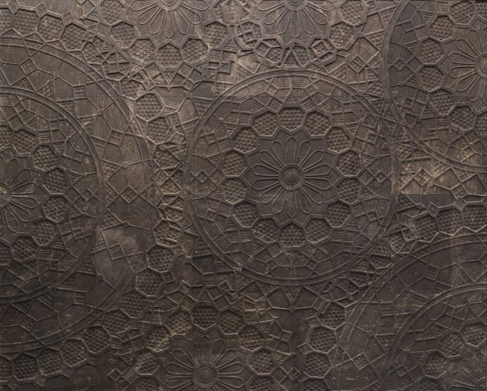 Centocentrini - Image 2