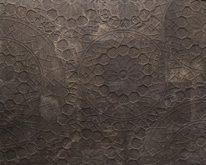 Centocentrini - Image 2