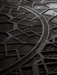 Centocentrini - Image 3