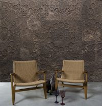 Centocentrini - Image 4