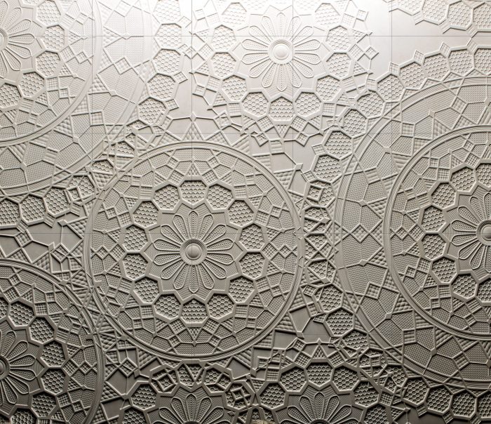 Centocentrini - Image 5