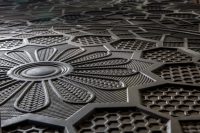 Centocentrini - Image 6