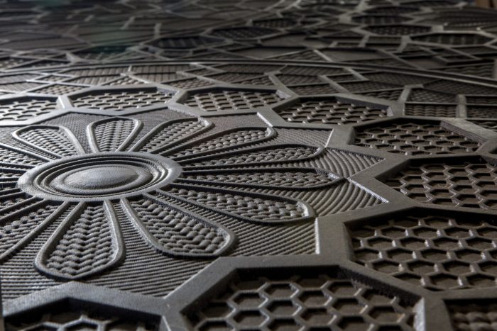 Centocentrini - Image 6