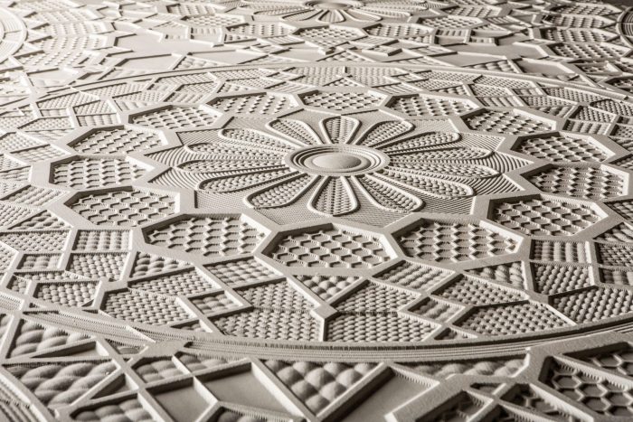 Centocentrini - Image 7