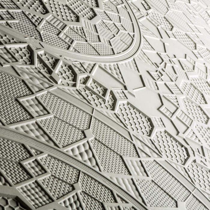 Centocentrini - Image 8