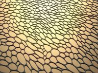 Natural Gold Natural Luxury Varnish - Image 6