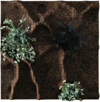Corknature Green Wall Panels - Image 2